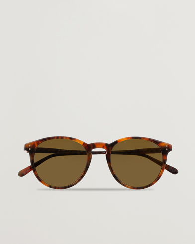 Herren | World of Ralph Lauren | Polo Ralph Lauren | 0PH4110 Sunglasses Havana