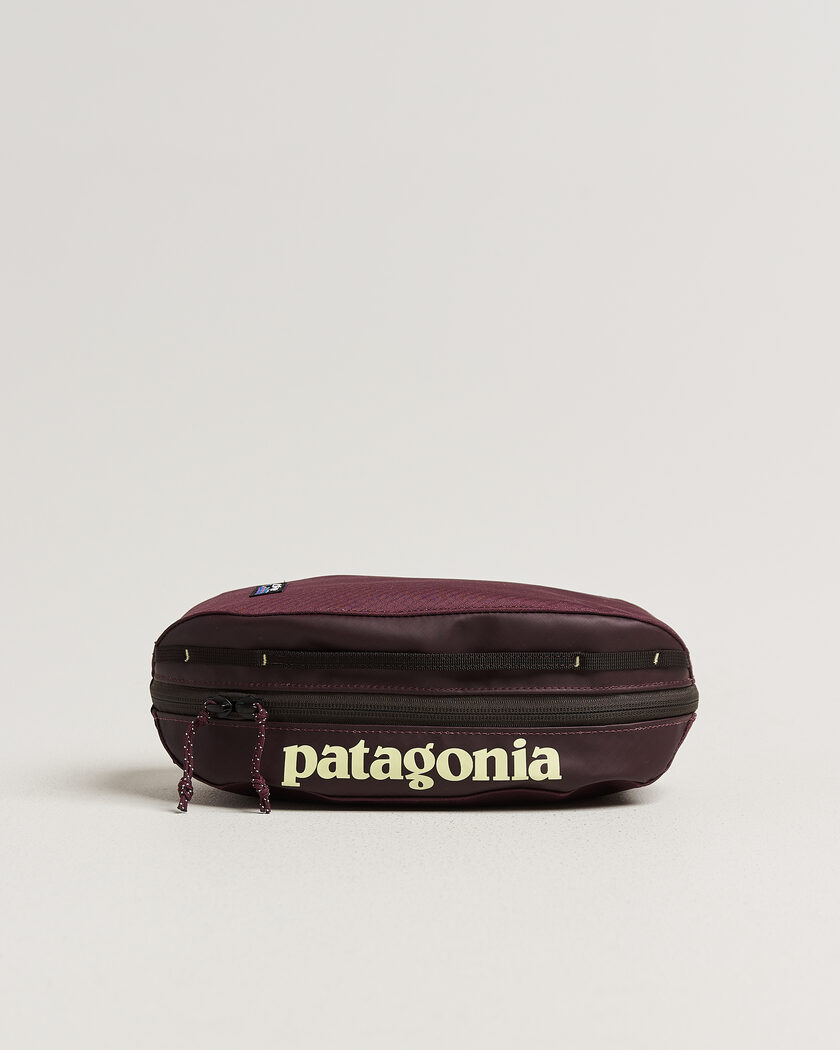Patagonia Black Hole Cube 3L Berry Fig – Lila