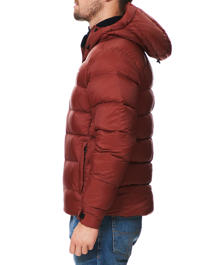 Herren | Jacken | Sail Racing | Gravity Down Hooded Jacket Fired Brick