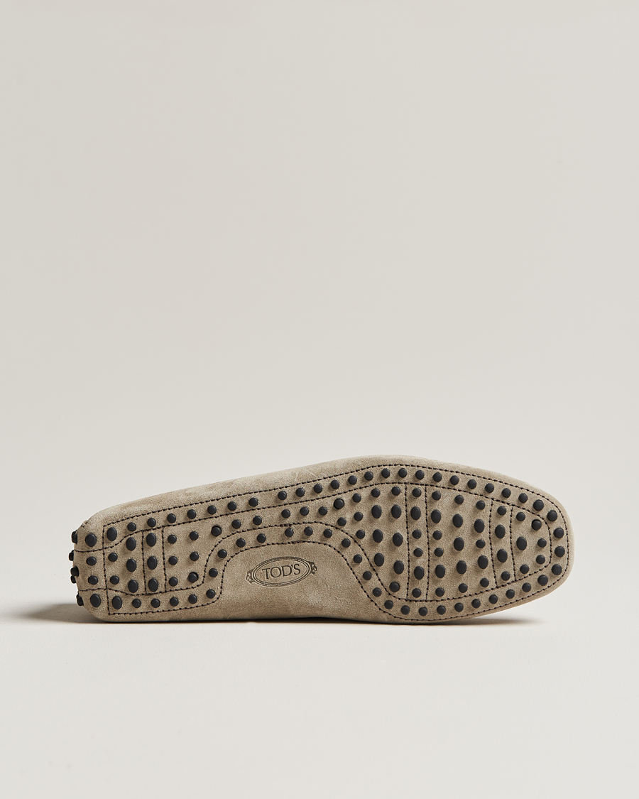 Herren | Tod's Lacetto Gommino Carshoe Taupe Suede | Tod's | Lacetto Gommino Carshoe Taupe Suede