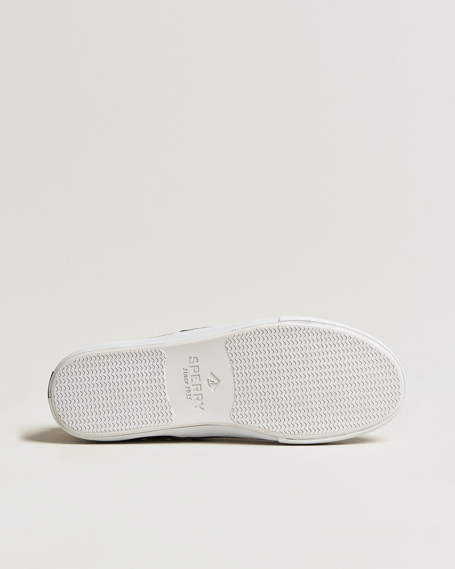 Herren | Sperry Striper II Canvas Sneaker Beige | Sperry | Striper II Canvas Sneaker Beige