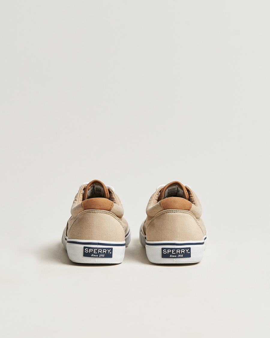 Herren | Sperry Striper II Canvas Sneaker Beige | Sperry | Striper II Canvas Sneaker Beige
