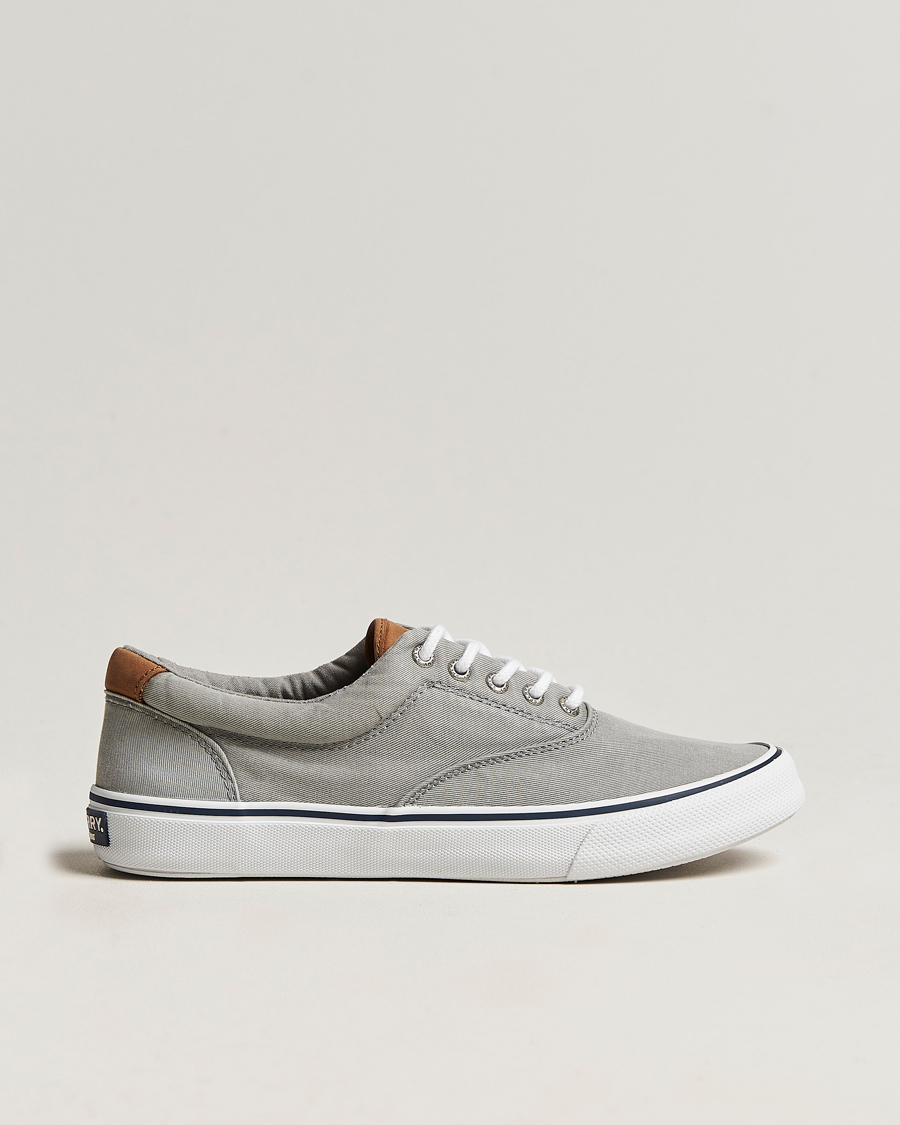Herren | Sperry Striper II Canvas Sneaker Grey | Sperry | Striper II Canvas Sneaker Grey