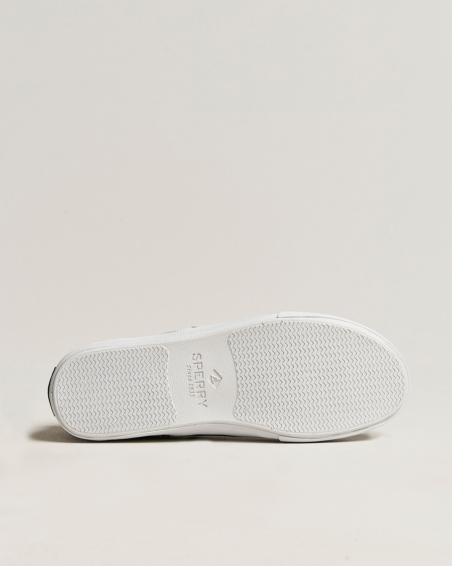 Herren | Sperry Striper II Canvas Sneaker Grey | Sperry | Striper II Canvas Sneaker Grey