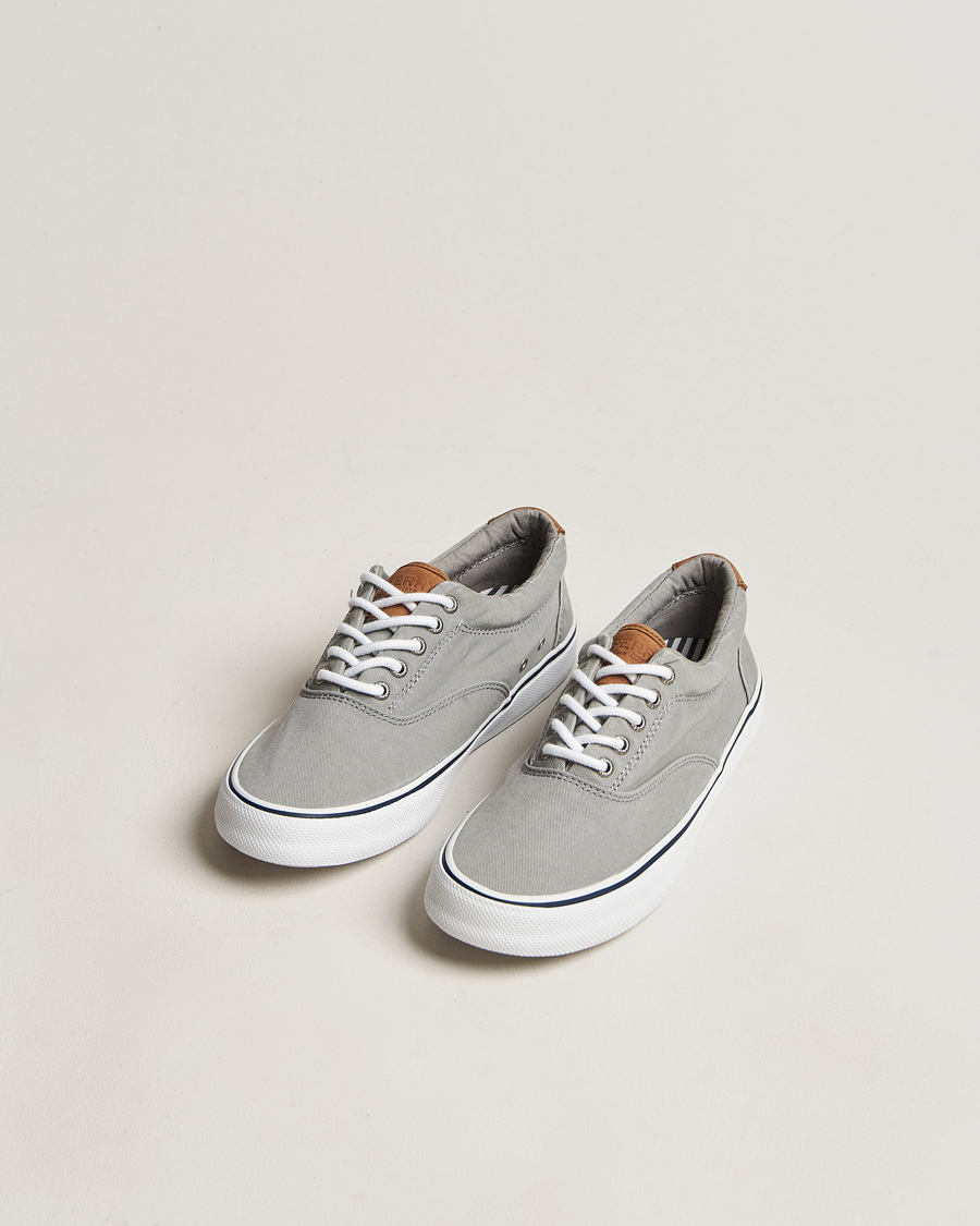 Herren | Sperry Striper II Canvas Sneaker Grey | Sperry | Striper II Canvas Sneaker Grey