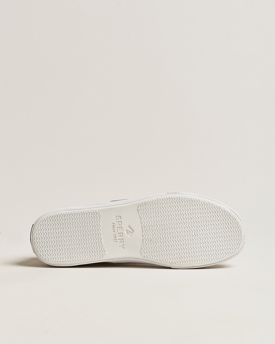 Herren | Sperry Striper II Canvas Sneaker White | Sperry | Striper II Canvas Sneaker White
