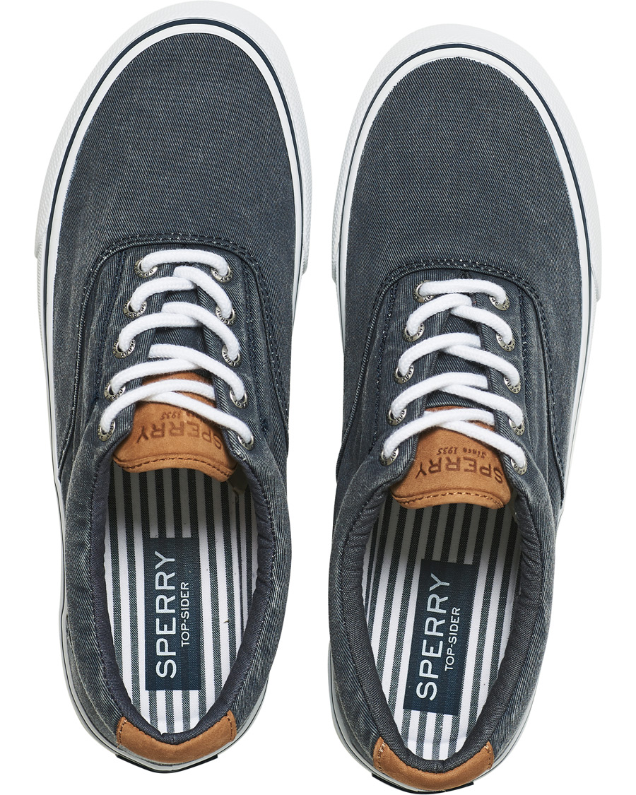 Herren | Sperry Striper II Canvas Sneaker Dark Navy | Sperry | Striper II Canvas Sneaker Dark Navy