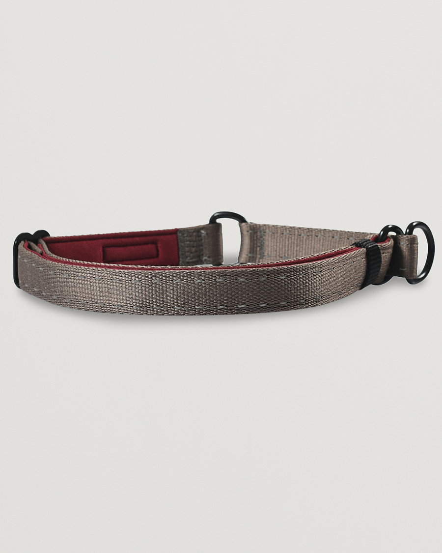 Herren | Für den Hund | Snow Peak | Dog Slip Collar Grey