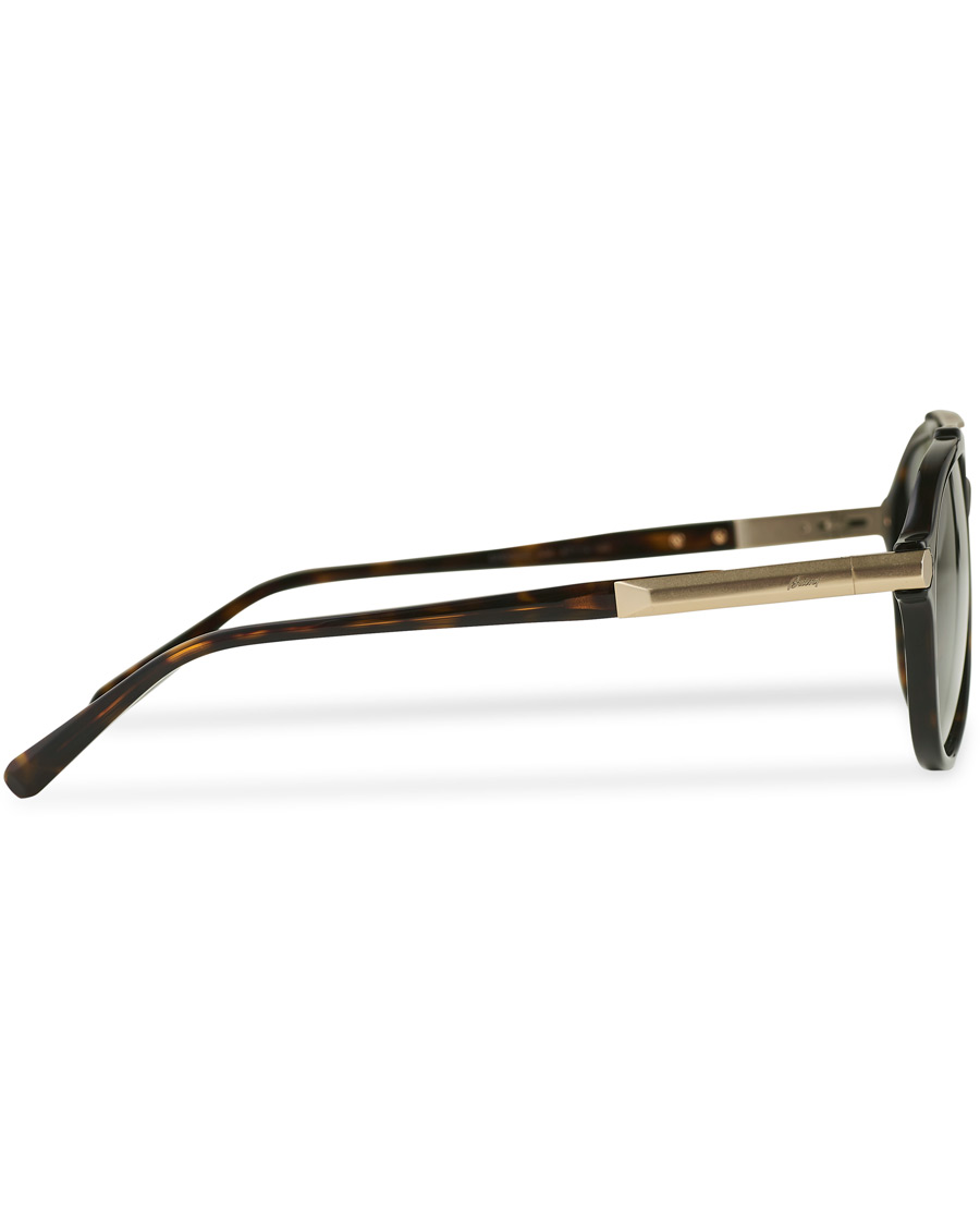 Herren | Brioni BR0096S Sunglasses Havana Green | Brioni | BR0096S Sunglasses Havana Green