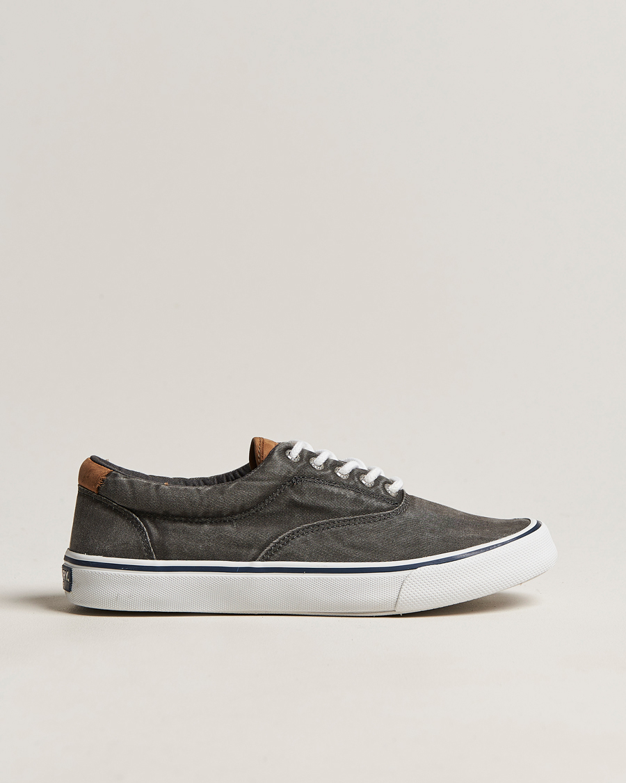 Herren | Sperry Striper II Canvas Sneaker Whased Black | Sperry | Striper II Canvas Sneaker Whased Black