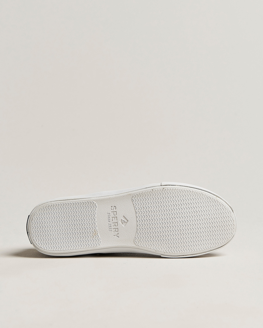 Herren | Sperry Striper II Canvas Sneaker Whased Black | Sperry | Striper II Canvas Sneaker Whased Black