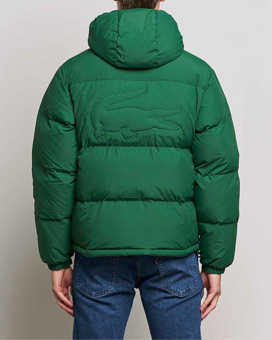 Herren | Jacken | Lacoste | Hooded Lightweight Jacket Green