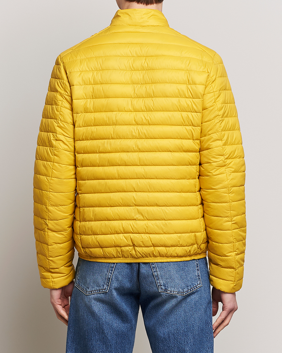 Herren | Jacken | Save The Duck | Alex Lightweight Padded Jacket Curry Yellow