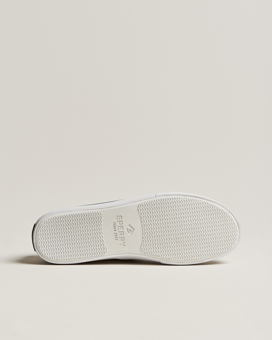 Herren | Sperry Bahama II Sneaker White | Sperry | Bahama II Sneaker White