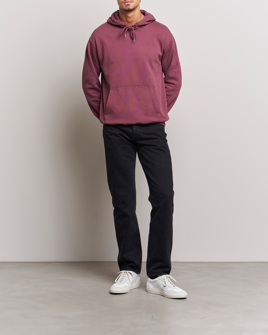 Herren | Pullover | Colorful Standard | Classic Organic Hood Dusty Plum