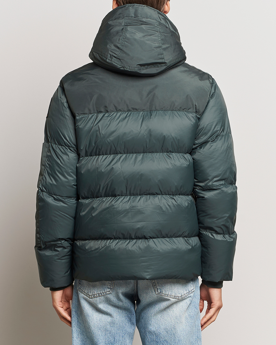 Herren | Jacken | Parajumpers | Tyrik Endurance Puffer Green Gables