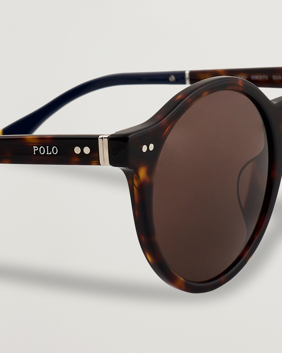 Herren | Sonnenbrillen | Polo Ralph Lauren | 0PH4204U Sunglasses Dark Havana