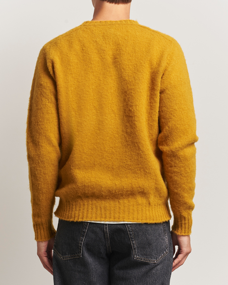 Herren | Pullover | Howlin' | Shaggy Bear Sweater Harvest Gold
