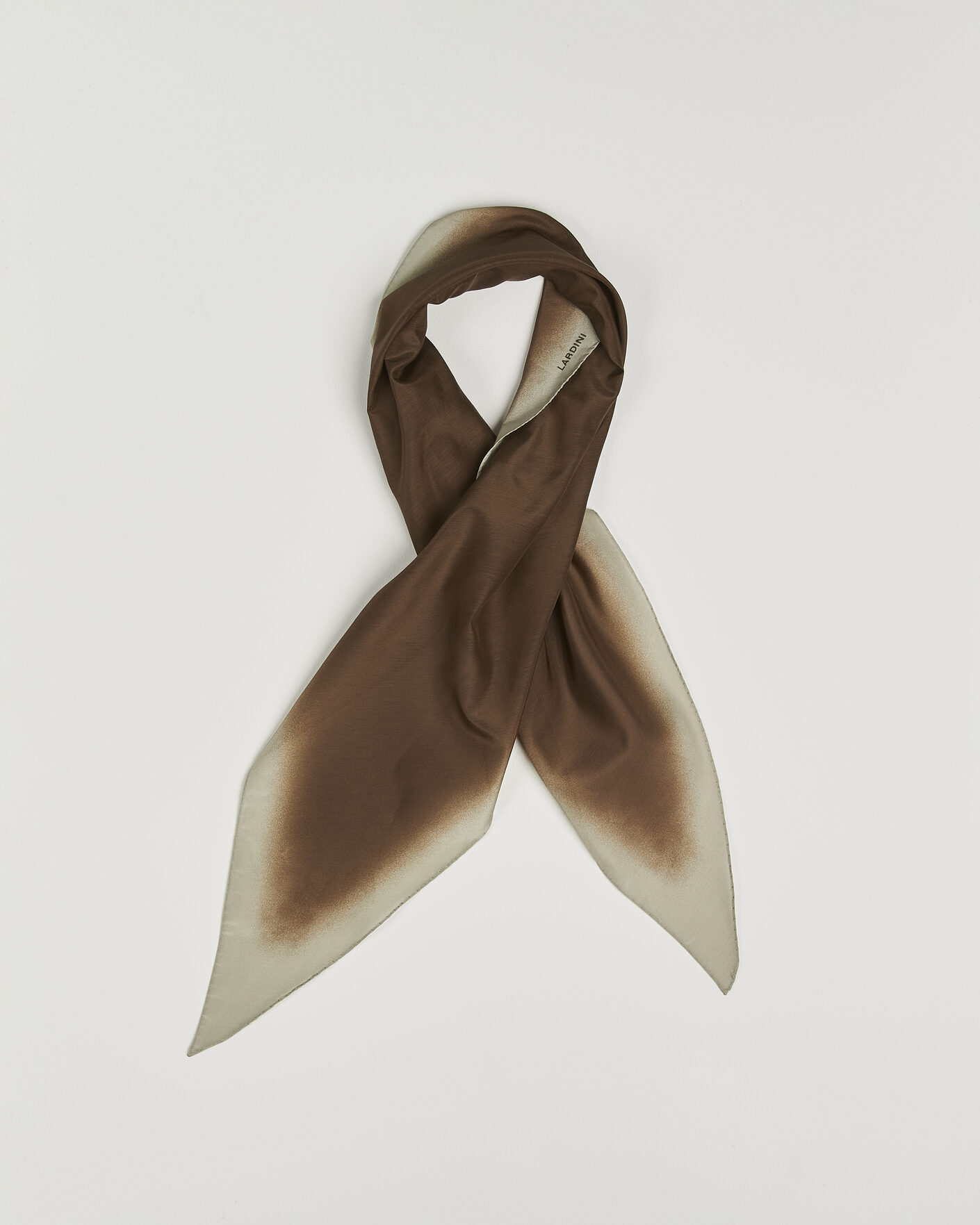 Herren | Tücher | Lardini | Cotton/Silk Scarf Brown