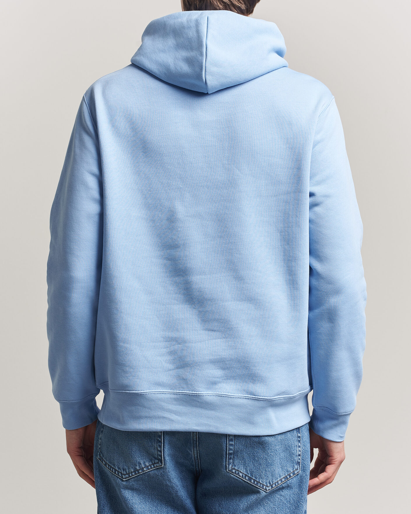Herren | Pullover | Polo Ralph Lauren | Fleece Bear Hoodie Austin Blue