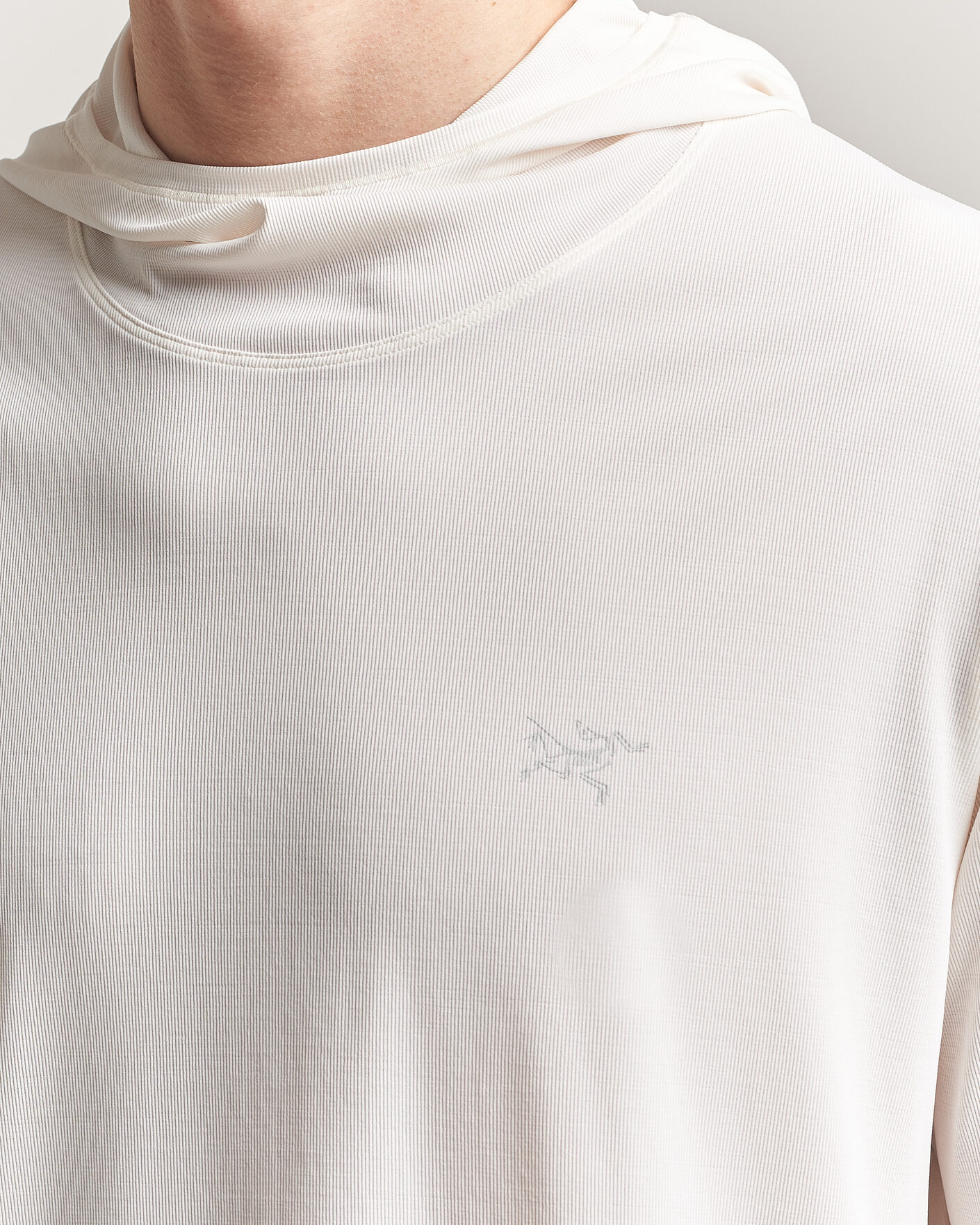 Herren | Pullover | Arc'teryx | Cormac Hoodie Arctic Silk