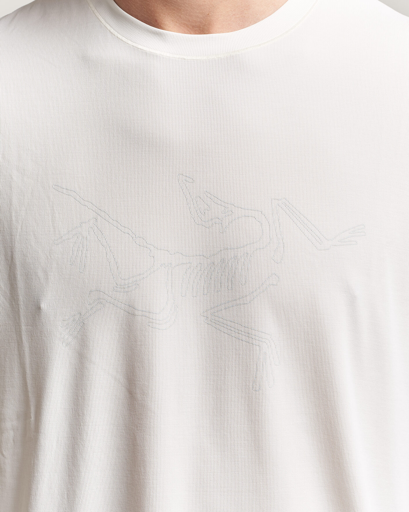 Herren | T-Shirts | Arc'teryx | Cormac Bird Logo Crew Neck T-Shirt Arctic Silk