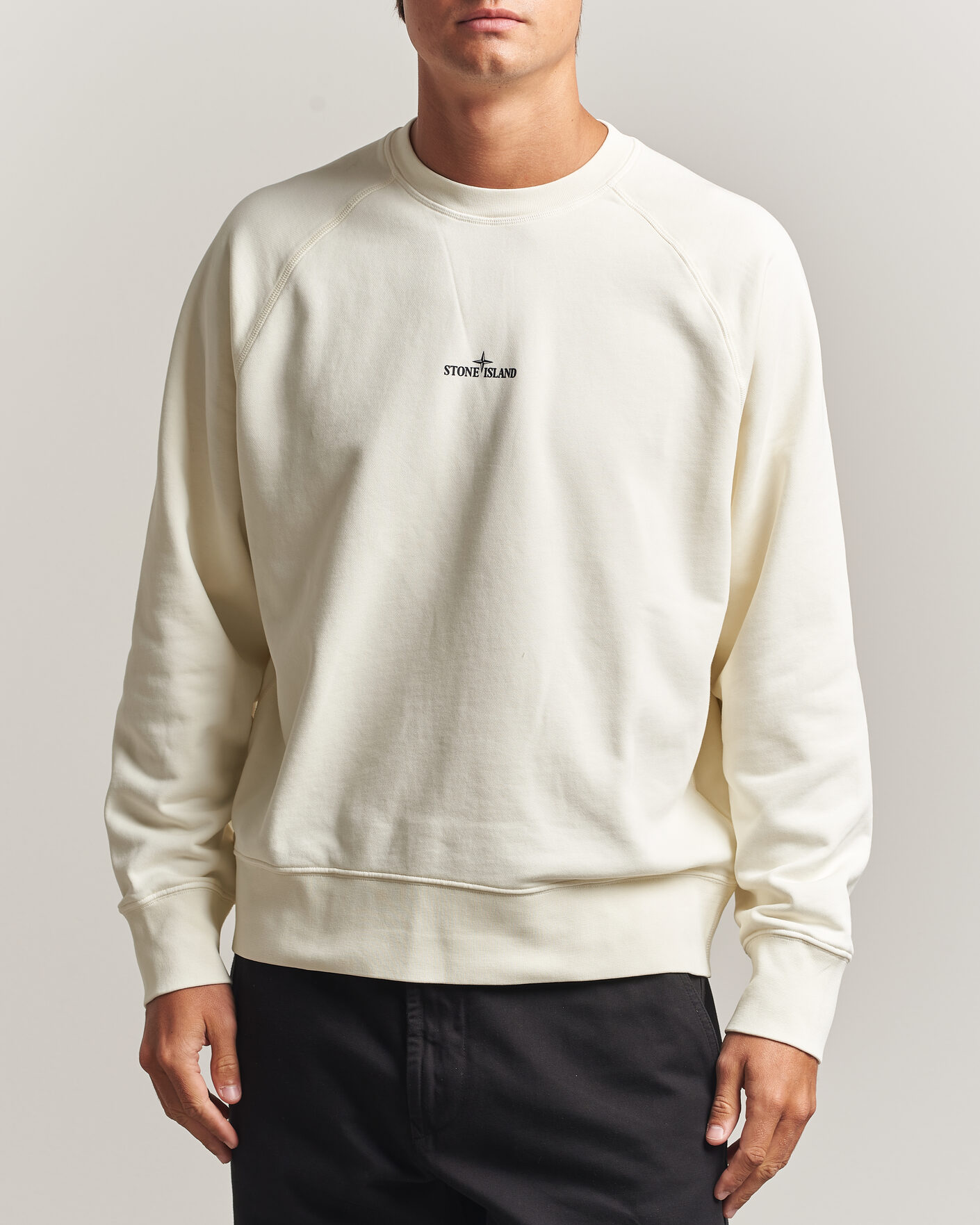 Herren | Pullover | Stone Island | Garment Dyed Fleece Desert Print Sweatshirt Ivory