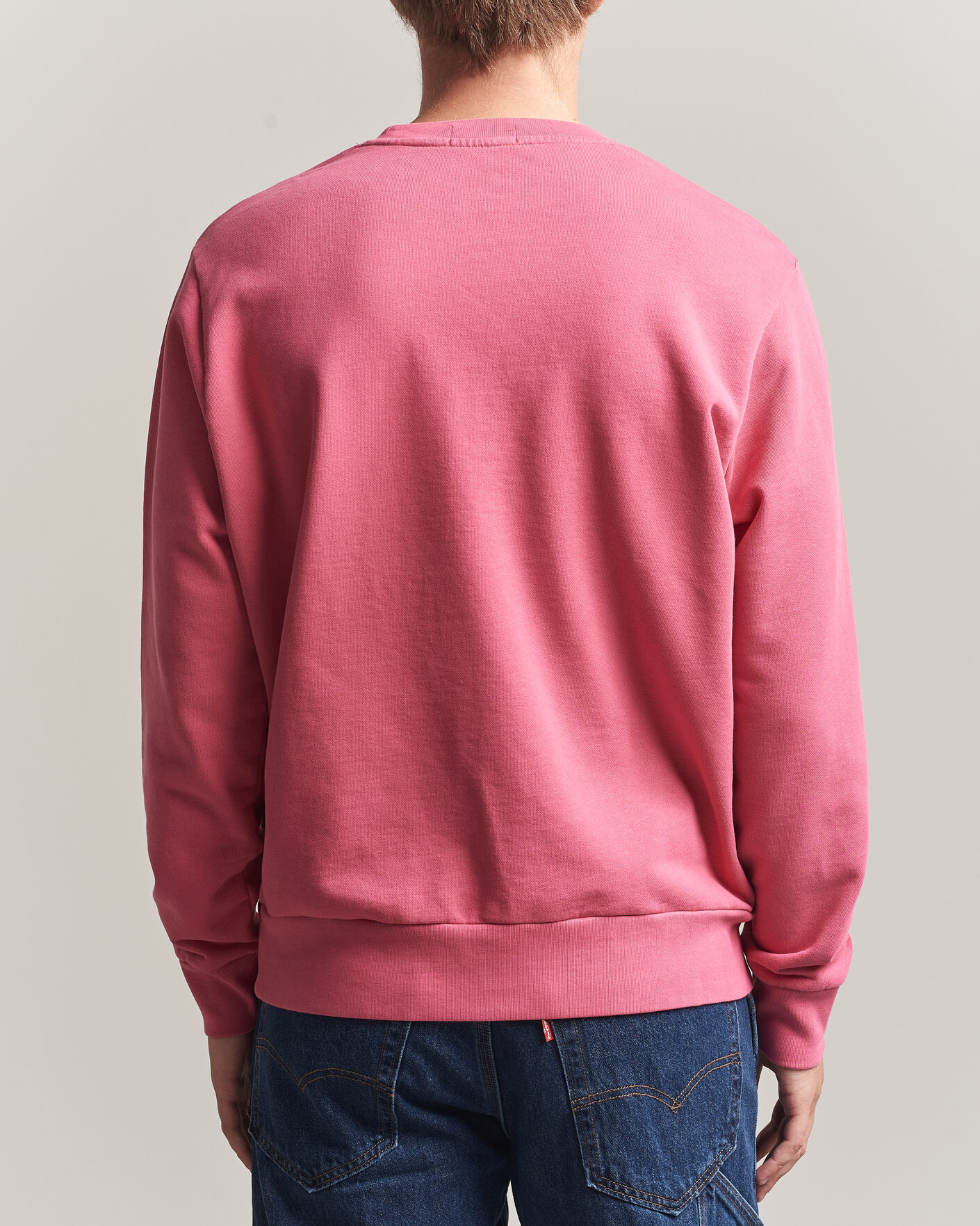 Herren | Pullover | Polo Ralph Lauren | Loopback Terry Sweatshirt Terrance Pink