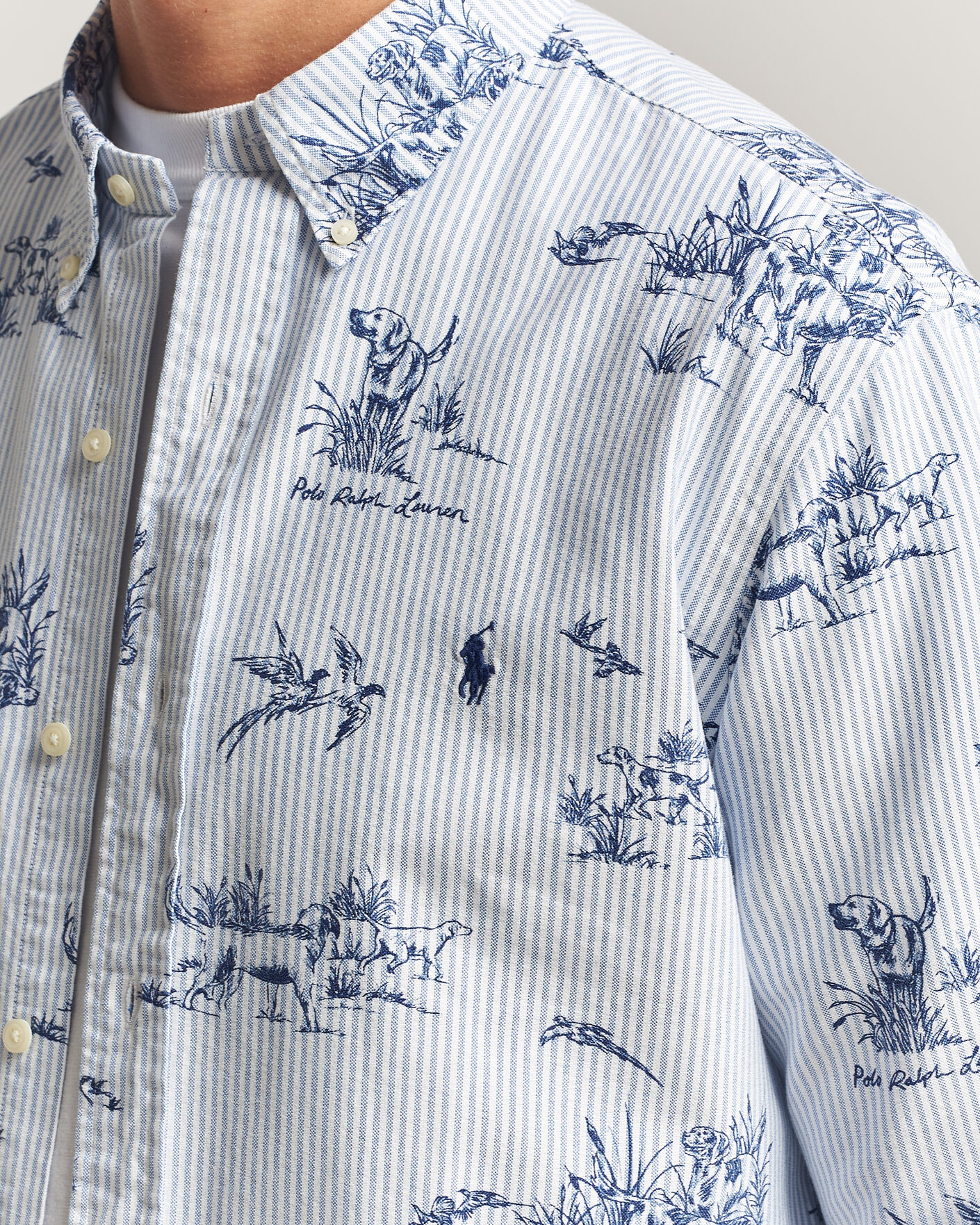 Herren | Hemden | Polo Ralph Lauren | Custom Fit Printed Oxford Shirt Field & Pheasant